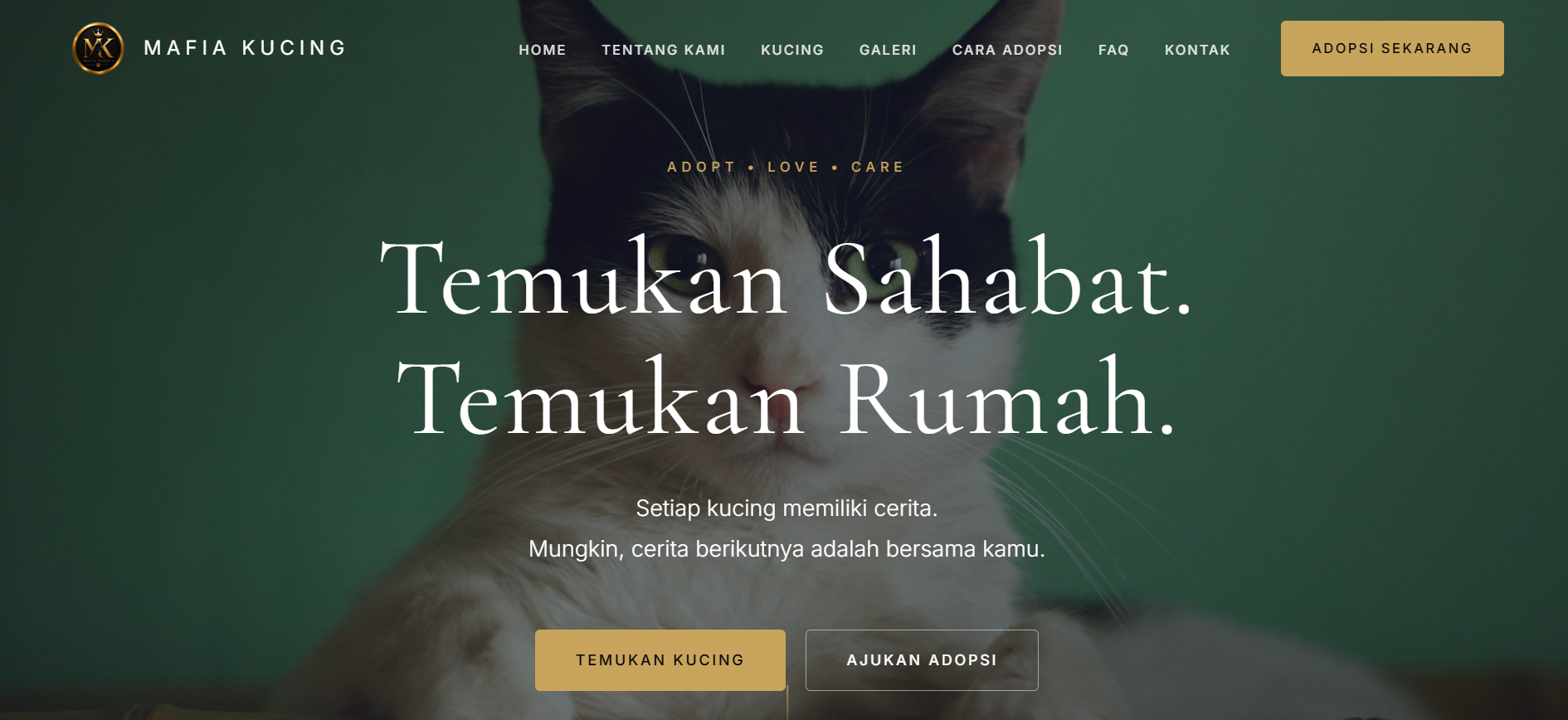 MAFIA KUCING — Warm & Playful
